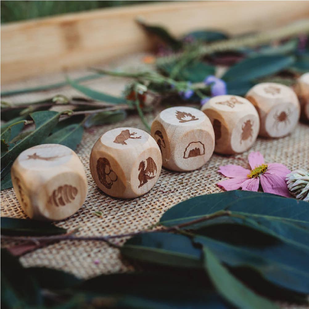 Kit: Nature Story Cubes