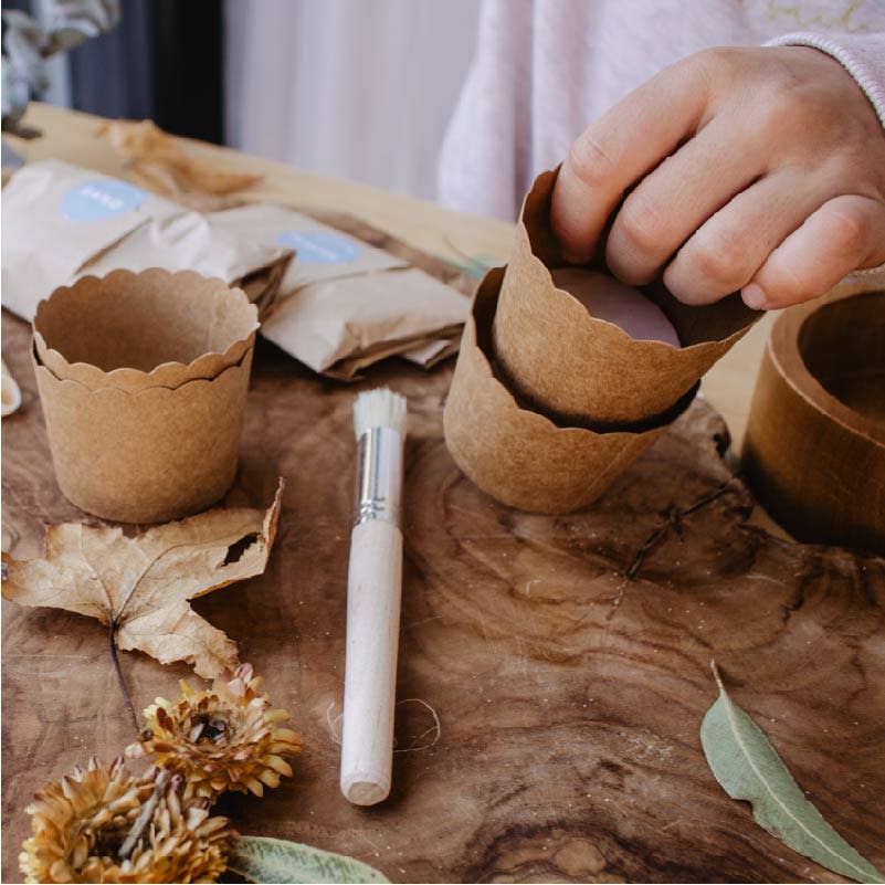 DIY Kit: Fun Fossils