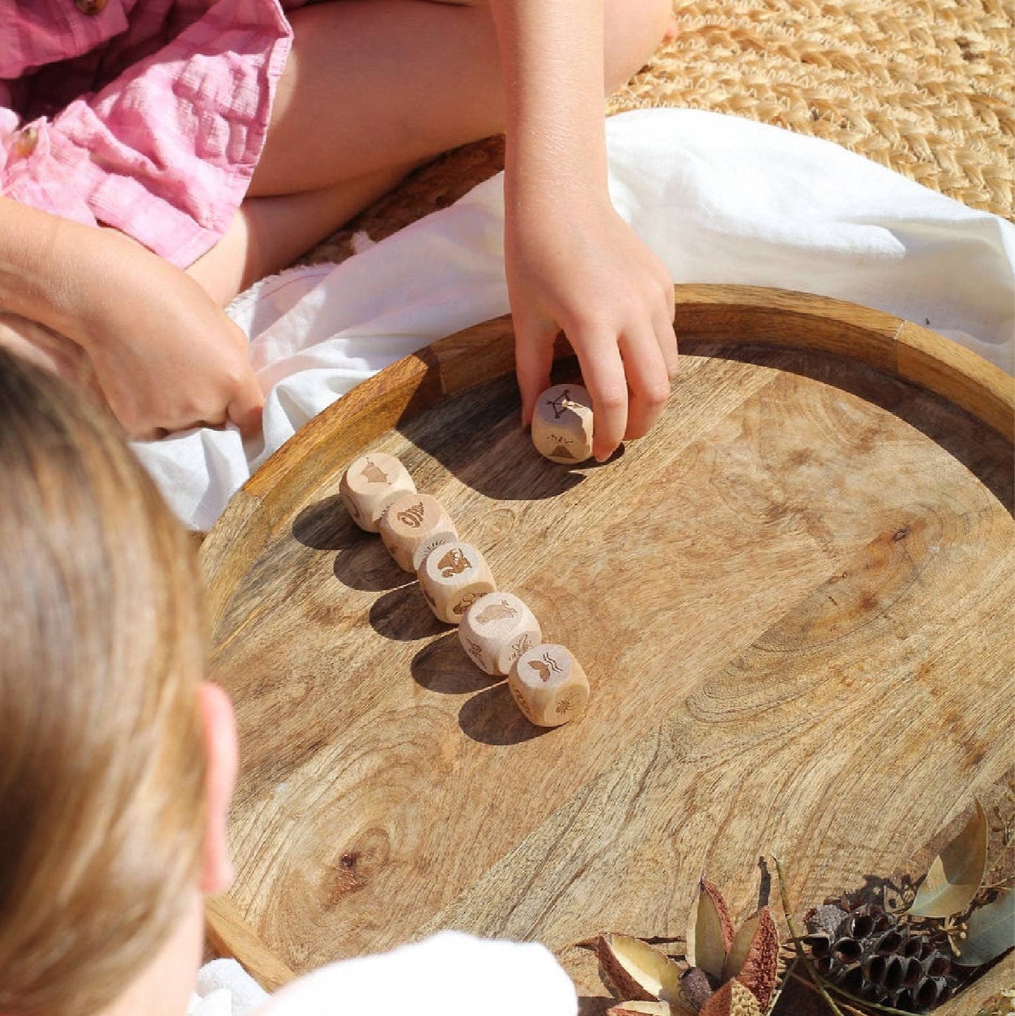 Kit: Nature Story Cubes