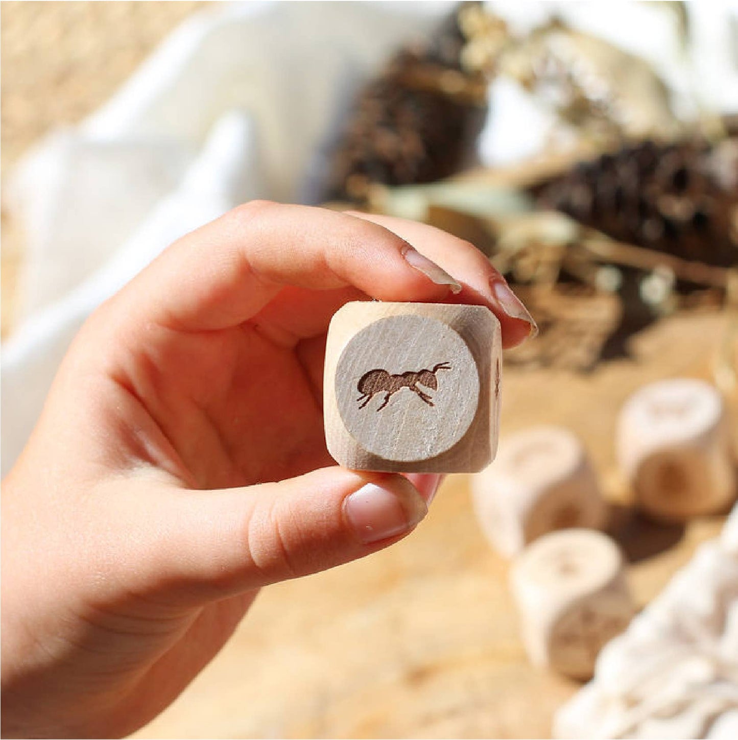 Kit: Nature Story Cubes