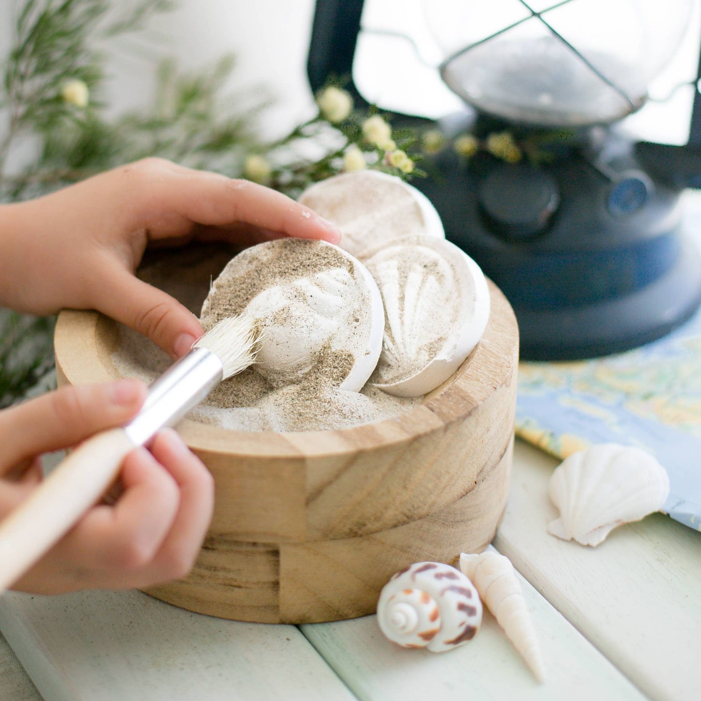 DIY Kit: Fun Fossils