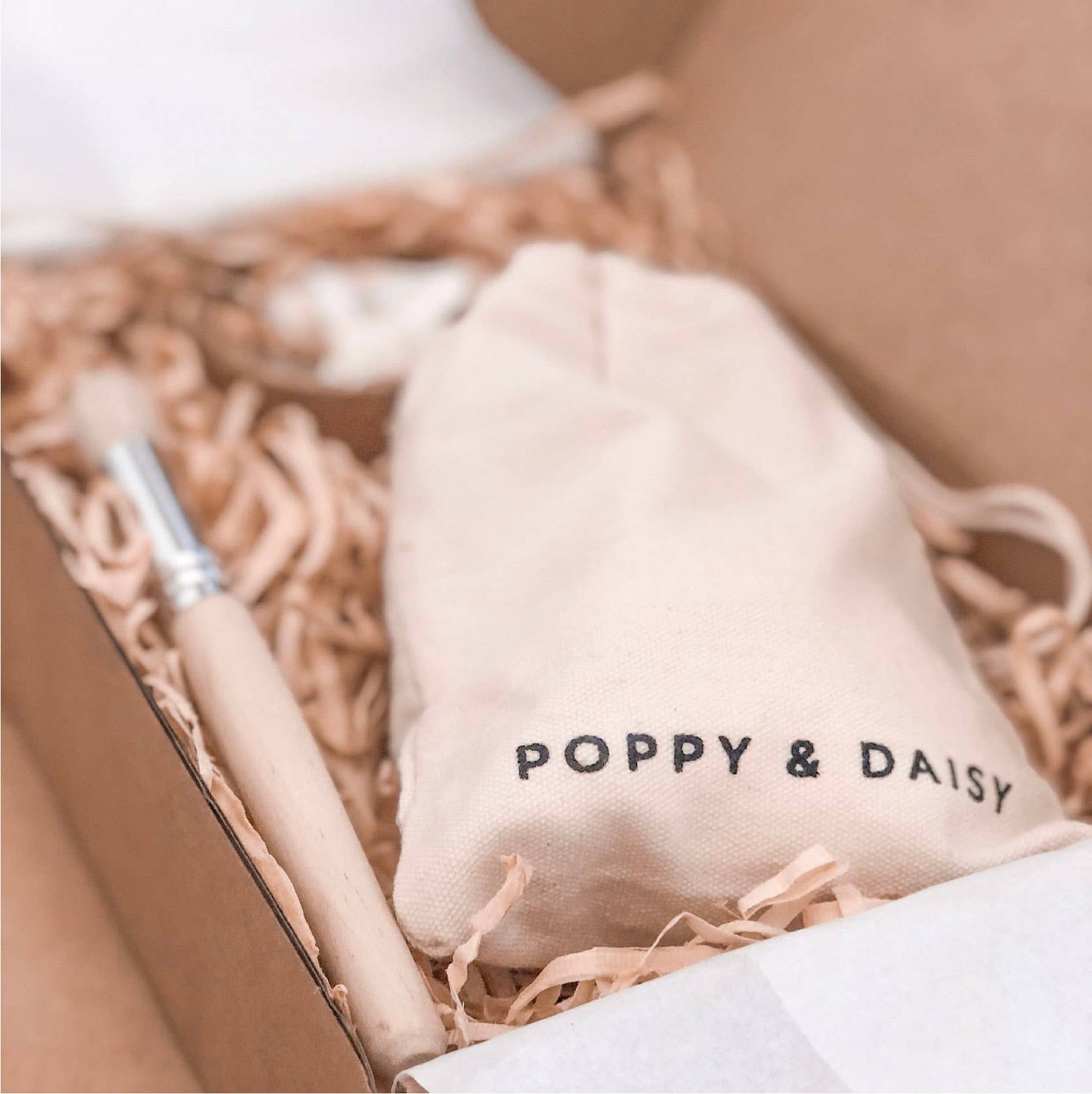 DIY Kit: Fun Fossils