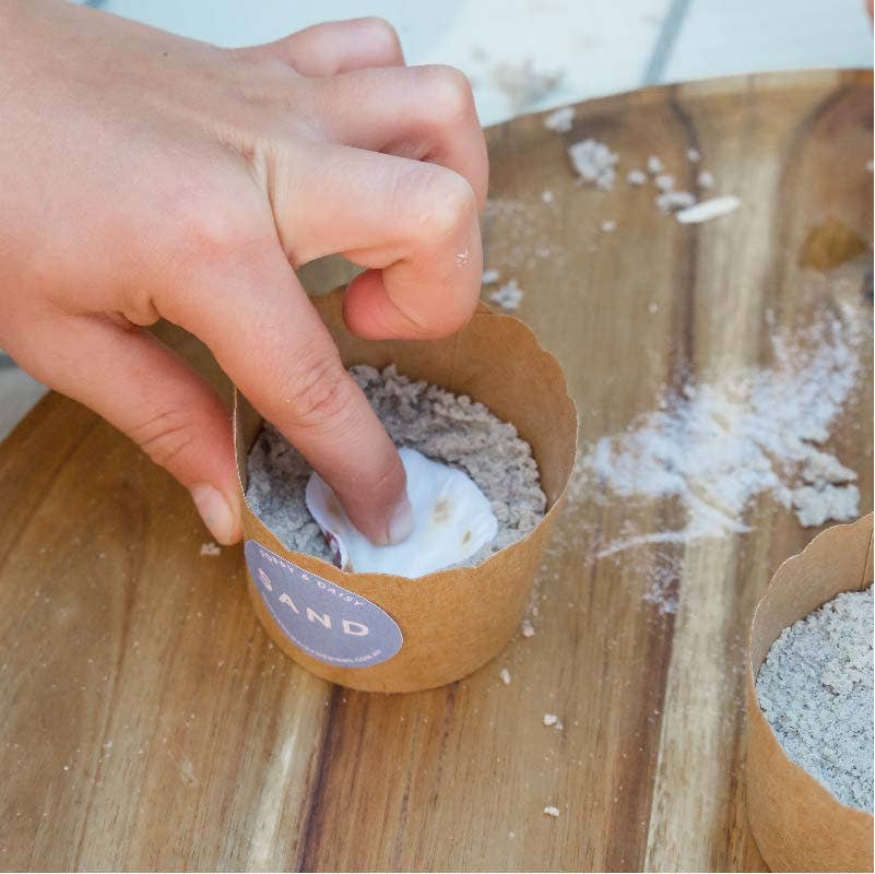 DIY Kit: Fun Fossils