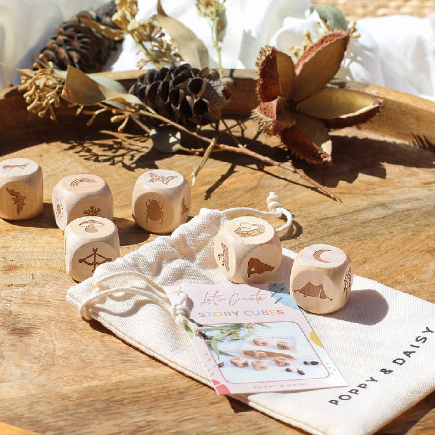 Kit: Nature Story Cubes